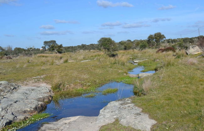 Tranquil Alentejo Villa With Pool - Foto 32