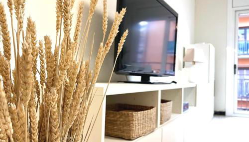 Apto el Piset, acogedor y céntrico del Montseny - Foto 1