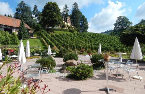 Wein Lodge Durbach - Gruppenhaus Weingut Neveu - Foto 10