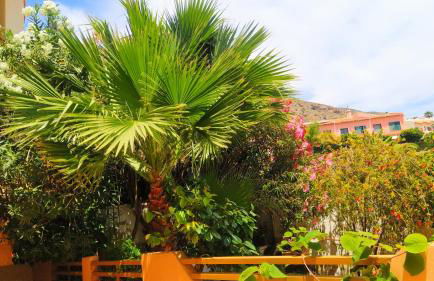 Deluxe garden flat near Terra-Mítica - Foto 9