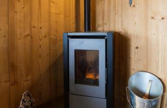 Appartement dans chalet aux saisies-100m des pistes-cœur station 13 pers - Foto 11