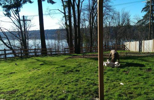 C19 Conscious, QUIET, ADULT Lake View Rental - Foto 34