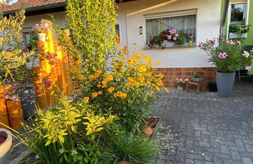 Haus Steffine - Photo 20