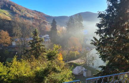 Waldhaus zum gechillten Hirsch in der Natur, bei der Moseltherme Traben-Trarbach - Foto 10