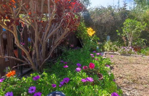 Casa El Sitio - Foto 43