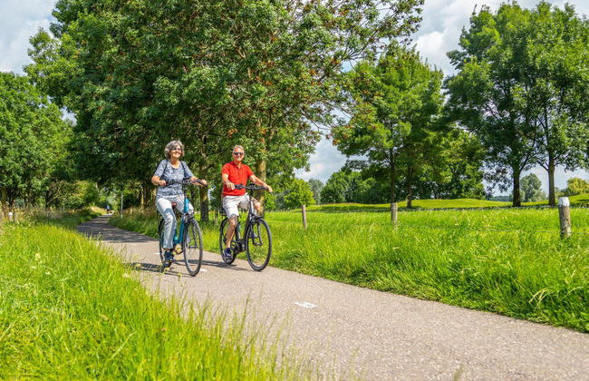 5 bedroom House in Kerkdriel with terrace and sauna - Photo 24