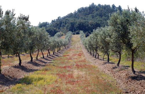 Holiday Home in Empuriabrava with Private Pool - Foto 32