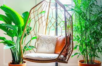 Jungle House Luxury Stays - Columbus Downtown Short North - Foto 11