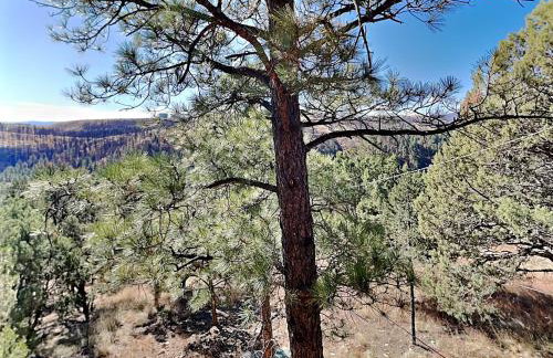 Nana and Papa's Mountain Retreat by Kokopelli Property Management - Foto 42