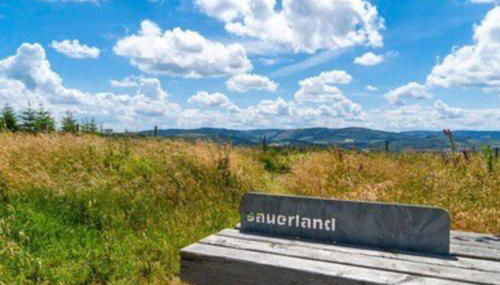 Auszeit im Grünen - Foto 4