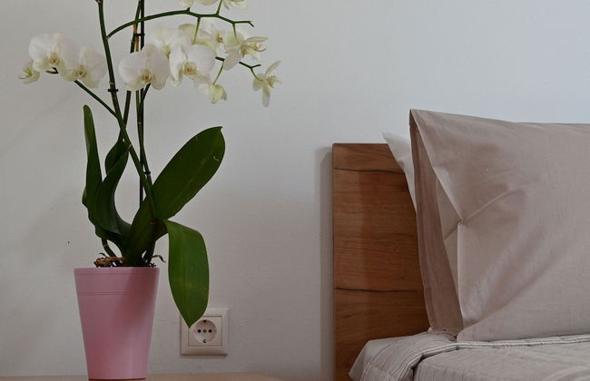 Ibiscus Cottage in Paradisi Near the Beach - Foto 3