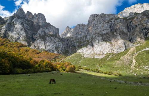 Apartamentos Río Cubo - Foto 40