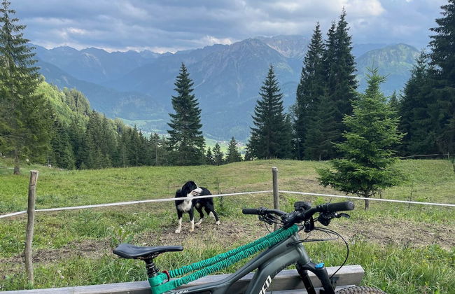 Chalet Hirschbach - Photo 68