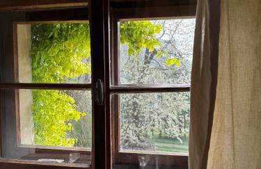 Czerwony Dworek 8 - Agroturystyka Karkonosze - Foto 45