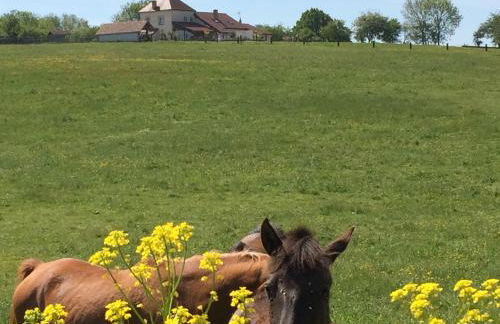 Gite Du Colombier - Foto 6