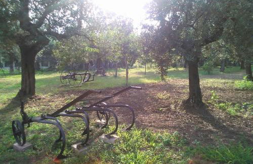 La stalla di nonno Zopito casa vacanze - Foto 22