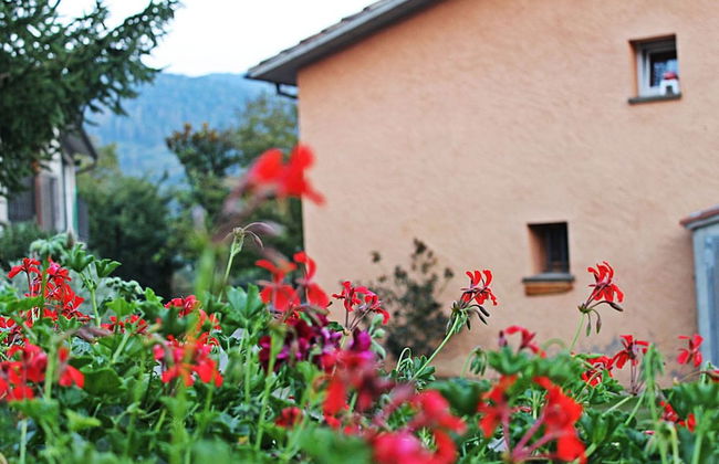 Turisme Rural El Janpere - Foto 12