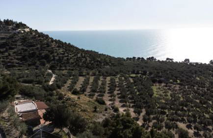 Villa Torre di Lupo- Manfredi Homes&Villas - Foto 26