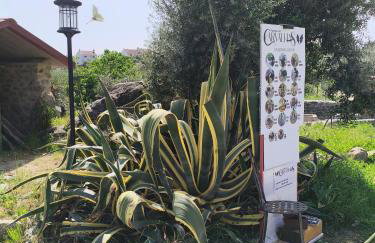 Tapada das Carvalhas - Foto 33