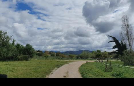 Finca Rural El Piketa - Foto 10