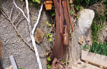 Cortijo El Pilón - Foto 21