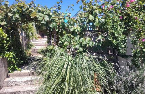 Holiday Home Villa Salvia by Interhome - Foto 41