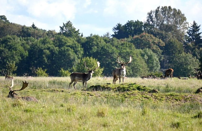 6 Person Holiday Park Home in Middelfart - Foto 20