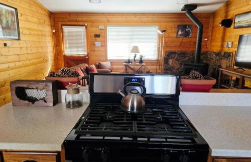 Bear Escapes II Affordable Luxury Cabin - Foto 20