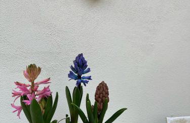 Il cortiletto sotto la Mole - Foto 34