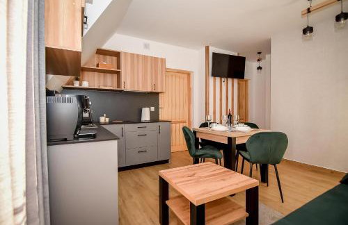 Apartamenty u Kurosa Jacuzzi & Sauna Ski Suche - Foto 41