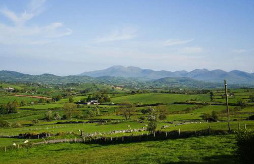 The Scotch Rock - Photo 26