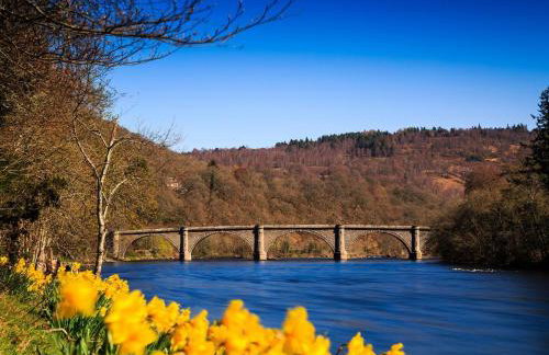 5 Bed in Dunkeld oc-90844 - Foto 35