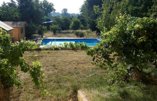 Agrinaturismo - Foto 21