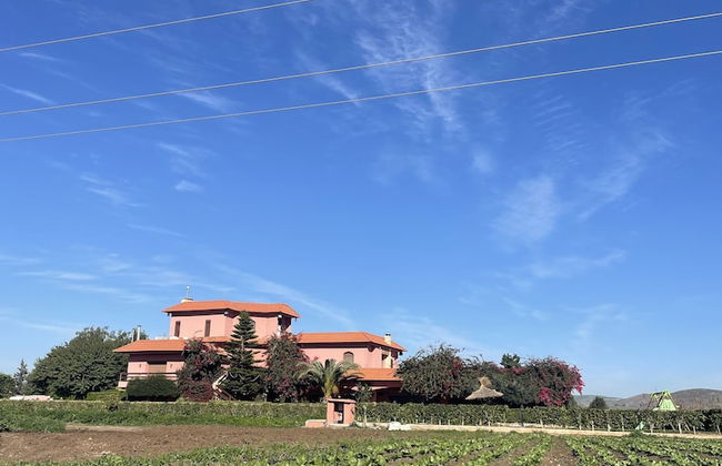 Dar Ichkeul - Foto 26