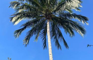 Apto Praia do Morro Guarapari - Wifi, Elevador, Garagem Coberta 20m da Areia - Foto 4