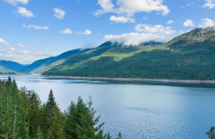 Hawthorn Cabin - Foto 59