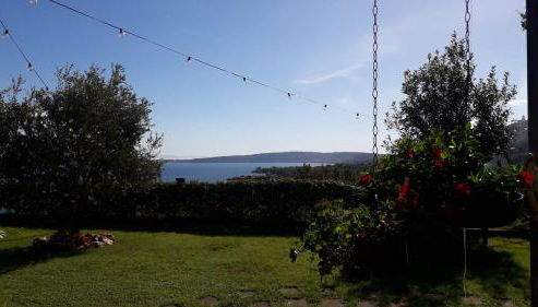 La Cerasa - il Lago fuori - Foto 5