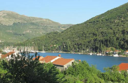Guest House Oscar near the Sea and river - Photo 59