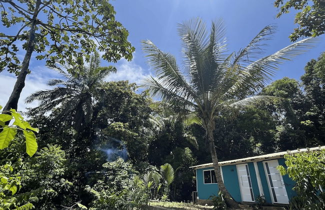 Casas Porto de Cima - Foto 4