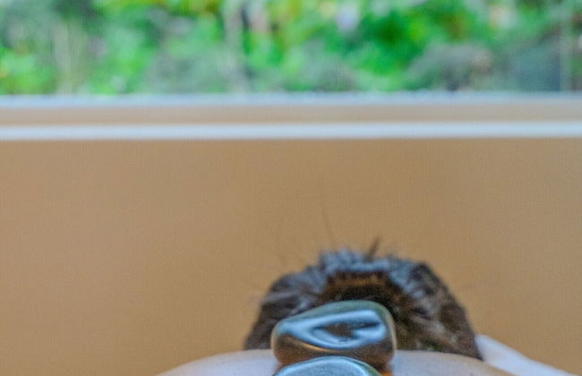 Matiz Igaratá Resort, Spa e Eventos - Foto 61