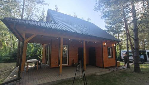 Domek nad jeziorem Wilczyńskim - Photo 5, Garden, Garden view