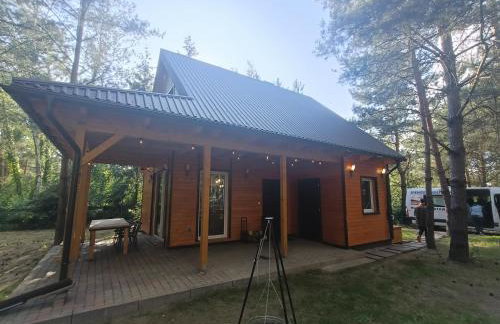 Domek nad jeziorem Wilczyńskim - Foto 5