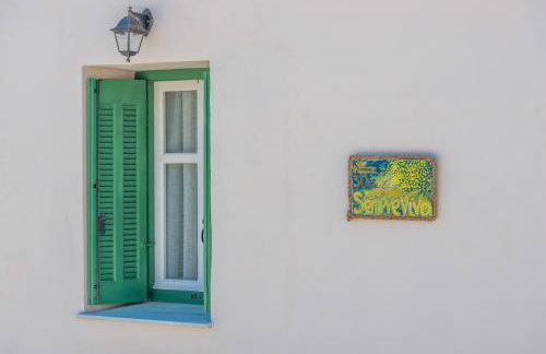 Sempreviva - Foto 41