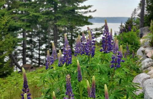 Sunset Cabin by the Sea, Log cabin stunning views - Photo 36