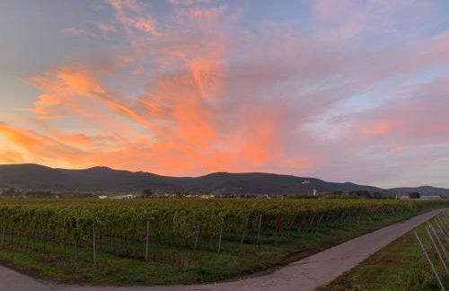 Ferienwohnung Vino Palatina - Foto 26