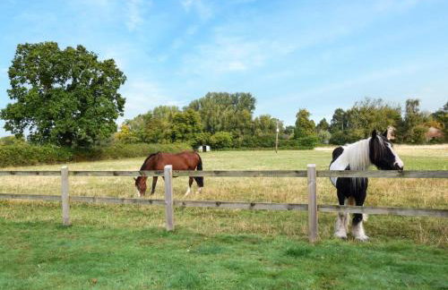 2 Bed in Dereham oc-57133 - Foto 19