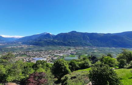 Georgenhöhe - Photo 56