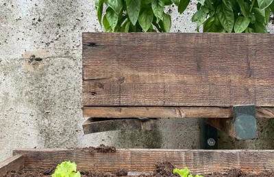 Agriturismo Pepe Rosa - Photo 33