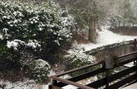 Casa Vacanze TraMonti da M&M - Casargo - Foto 37