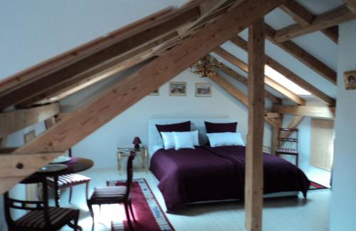 Ferienwohnungen Rexha - Photo 17